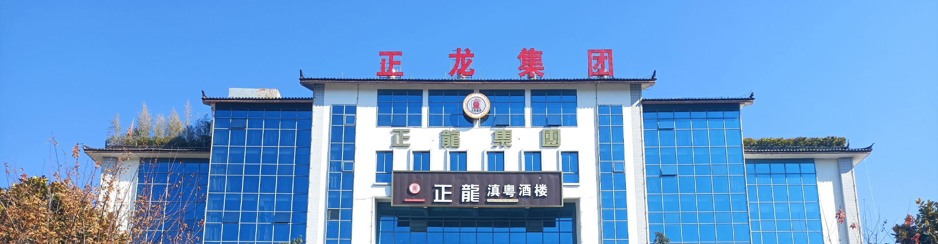 麗江正龍實(shí)業(yè)集團(tuán)有限公司