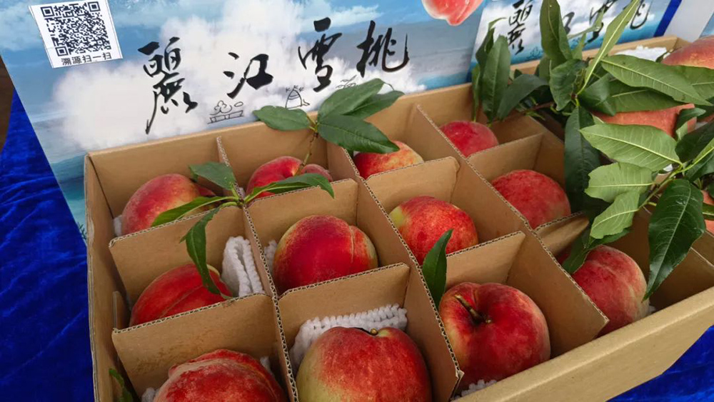 重2斤、競(jìng)拍價(jià)1100元！麗江雪桃王誕生！